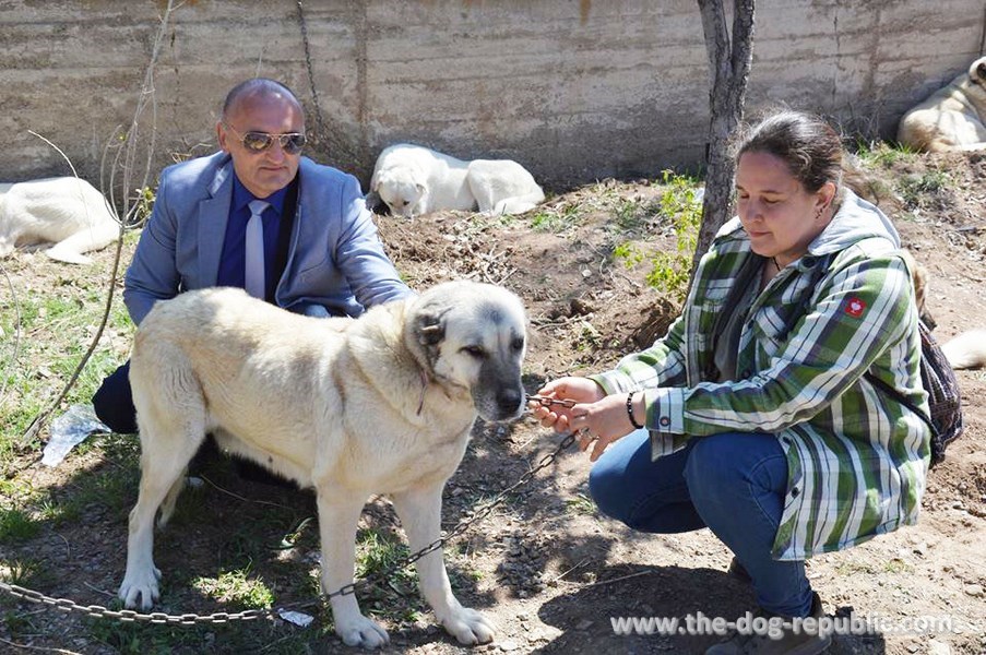 From trip to Anadolia: Ana Šebalj and Zoran Kos. Altınyayla, Sivas, Turkey, April 2018.