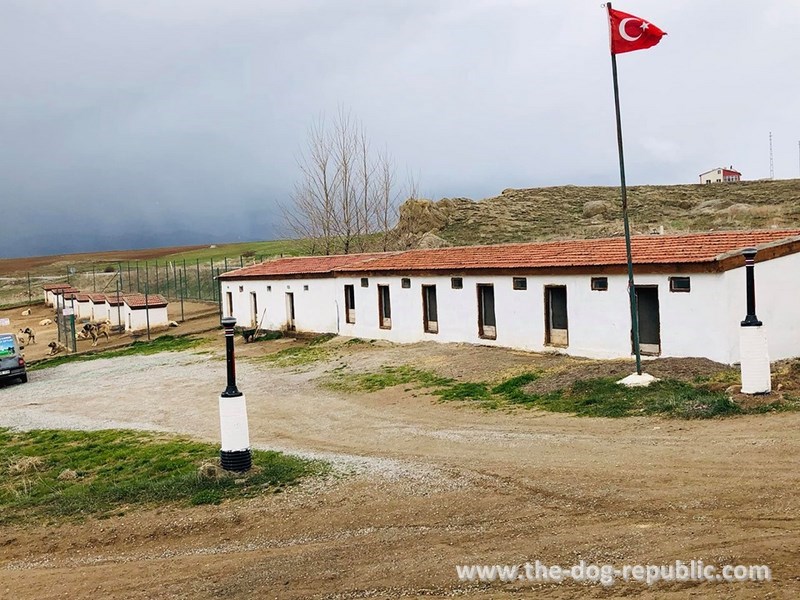Modern kangal kennel in Sivas, Turkey
