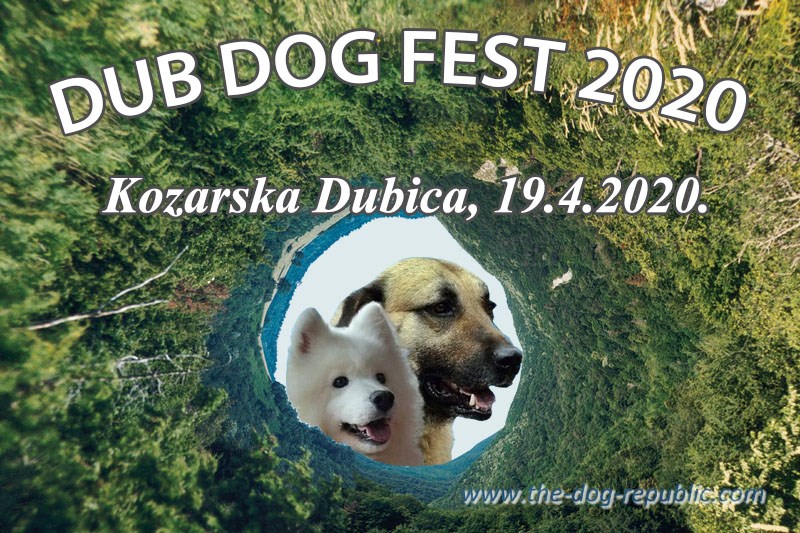 DUB DOG FEST 2020
