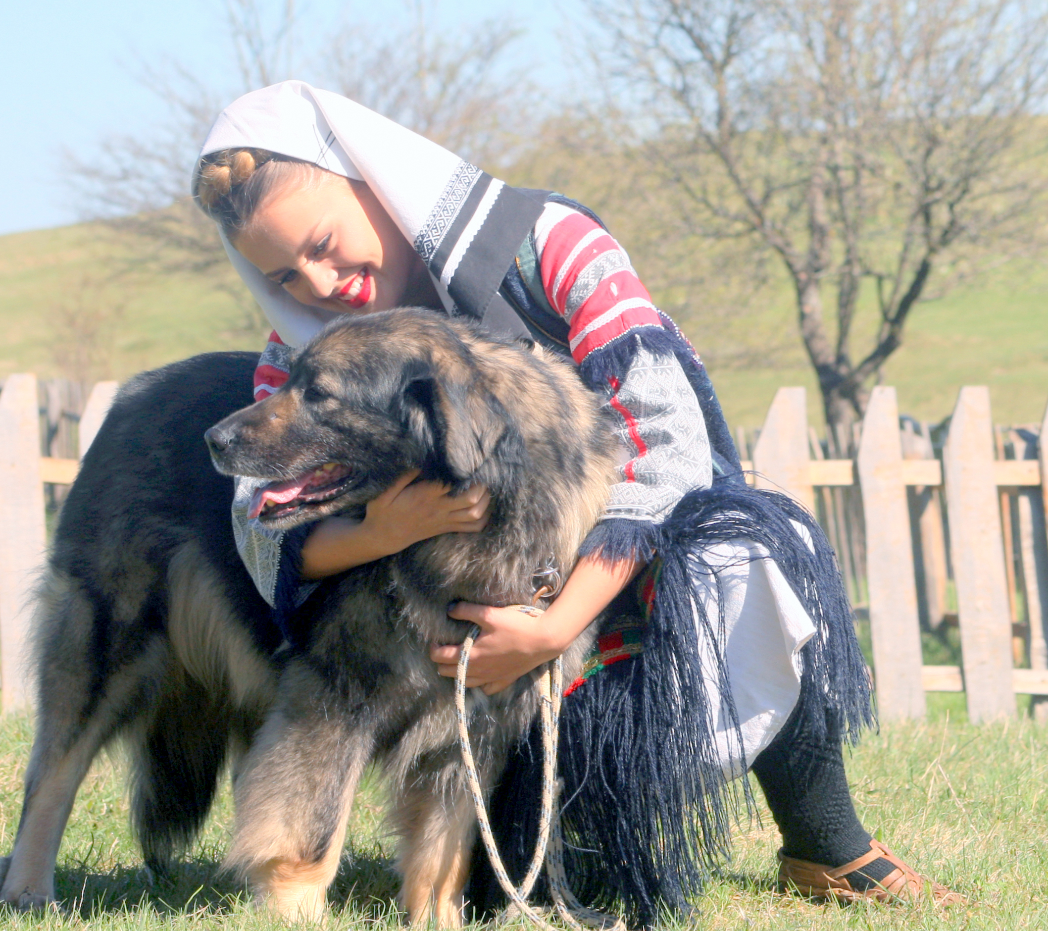 ŠARPLANINAC -KAKO TO GORDO ZVUČI! – 1. dio