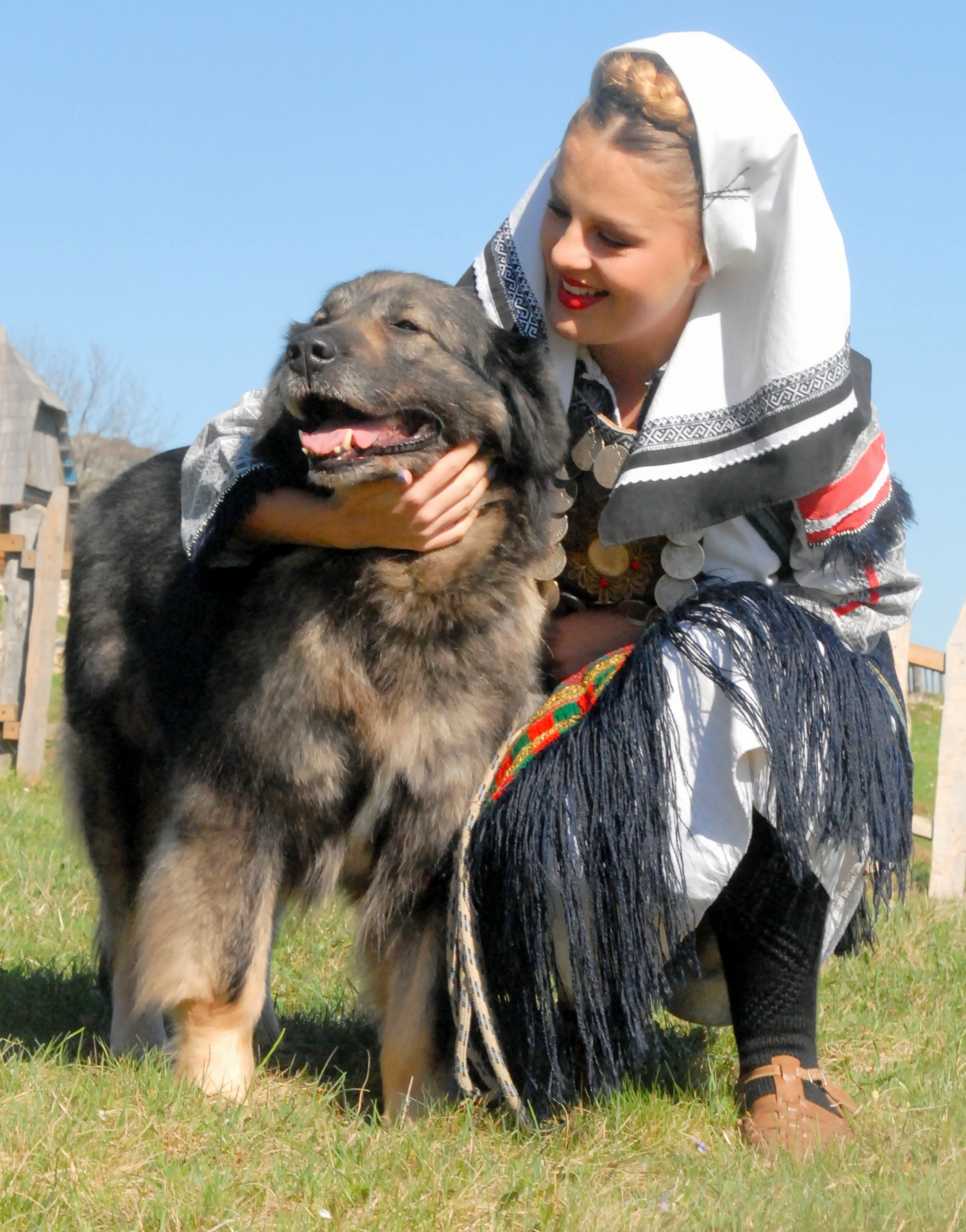 ŠARPLANINAC -KAKO TO GORDO ZVUČI! – 4. dio