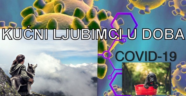 ONLINE SEMINAR (VEBINAR) : “KUĆNI LJUBIMCI U DOBA COVIDA”