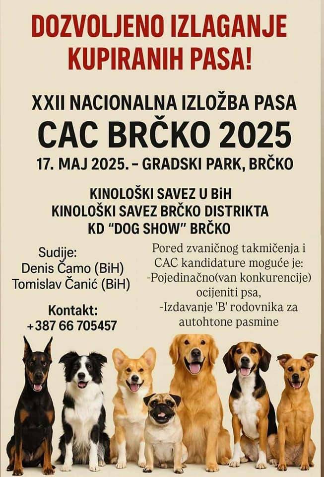 XXII CAC-BRČKO DC 2025 /DRŽAVNA IZLOŽBA PASA -17.5.2025. 