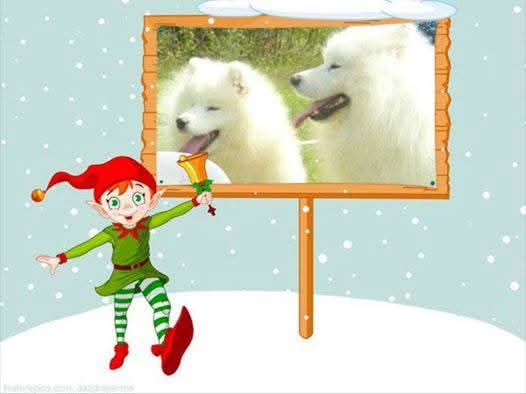  Srećna Nova 2026. godina! / Happy New Year 2026! 