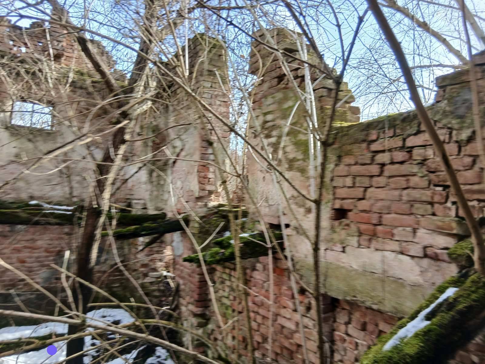 Како се  Шиљеговић одрекао очеве куће да би добио центар Београда (и зашто тај механизам и даље траје?)