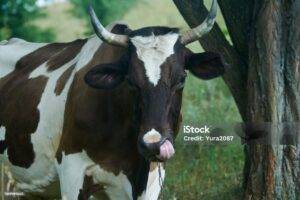 EKSKLUZIVNO: INVESTICIJA KOJA MENJA RELJEF POTKOZARJA