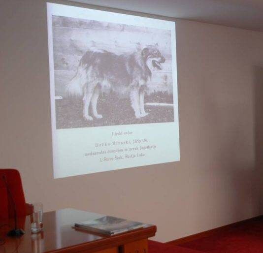 ŠARPLANINAC IZMEĐU BEOGRADA I SKOPLJA: „HELEZANJE“ RASE KOJU SRBI I MAKEDONCI DIJELE NA PAPIRU, A GUBE NA TERENU