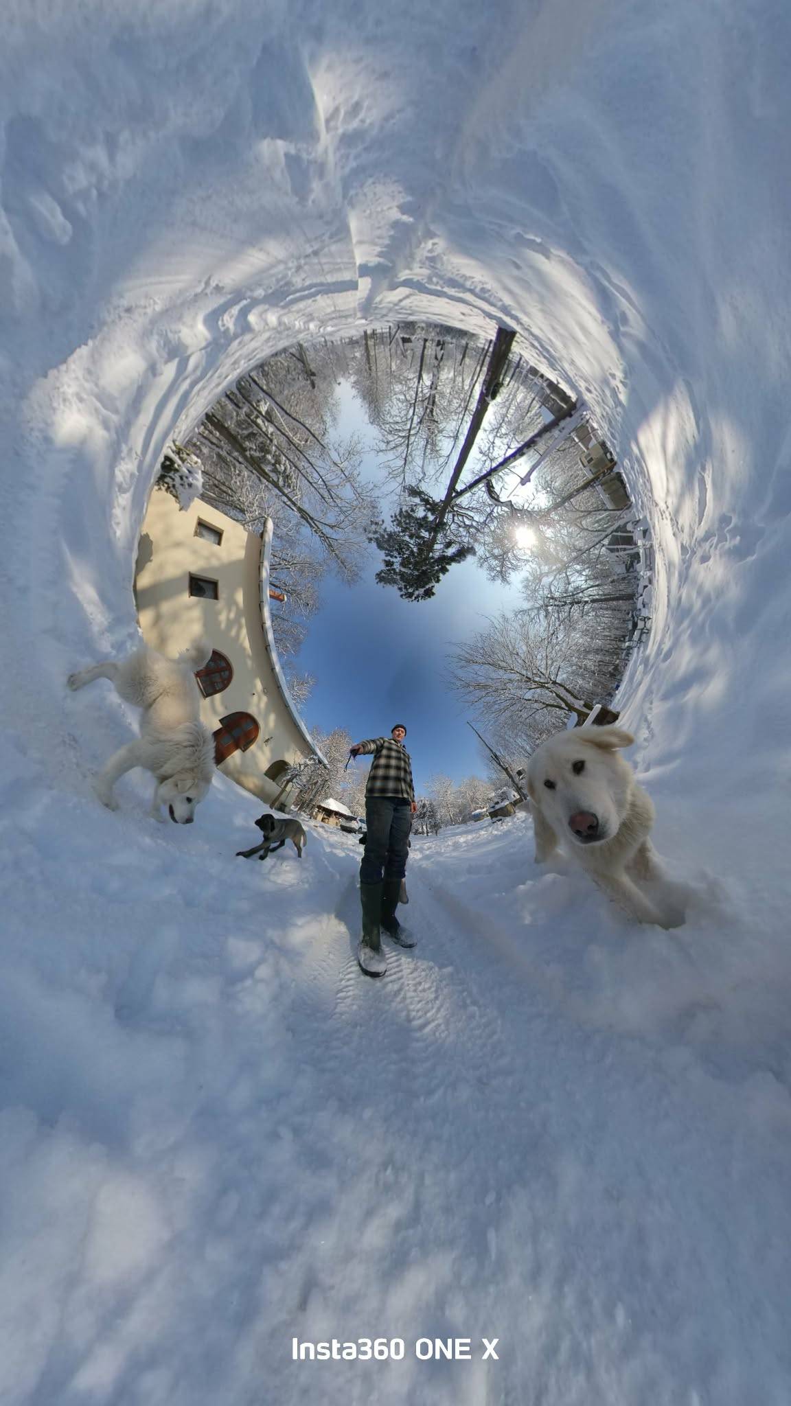 SARPLANINAC, Puppies for Sale Find the perfect Sarplaninac puppy  for your family and home at THE DOG REPUBLIC.com/ ШАРПЛАНИНАЦ, Штенци и на продају