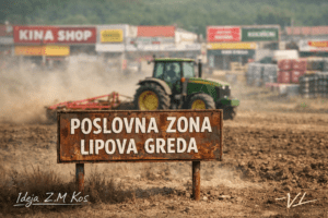 Od industrijskih zona ostali samo putokazi: Između „Lipove brazde“ i tranzitnog vašara