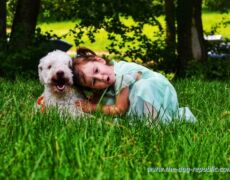 My friend dog. Moštanica 9.6.2019.<br>Photo by Samir Gaši My friend dog