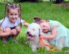 My friend dog. Moštanica 9.6.2019.<br>Photo by Samir Gaši My friend dog