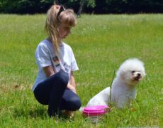 My friend dog. Moštanica 9.6.2019.<br>Photo by Samir Gaši My friend dog