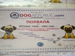 Pohvala. Moštanica 9.6.2019. godine.<br>Photo by Samir Gaši