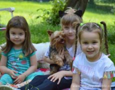 Naši najmlađi. Moštanica 9.6.2019. godine.<br>Photo by Samir Gaši