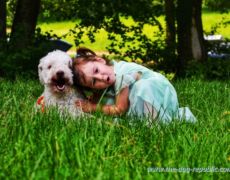 Moj prijatelj pas. Moštanica 9.6.2019. godine. <br>Photo by Samir Gaši Moj prijatelj pas