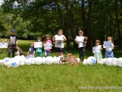 Djeca sa diplomama. Moštanica 9.6.2019. godine.<br>Photo by Samir Gaši Djeca sa diplomama. Moštanica 9.6.2019. godine